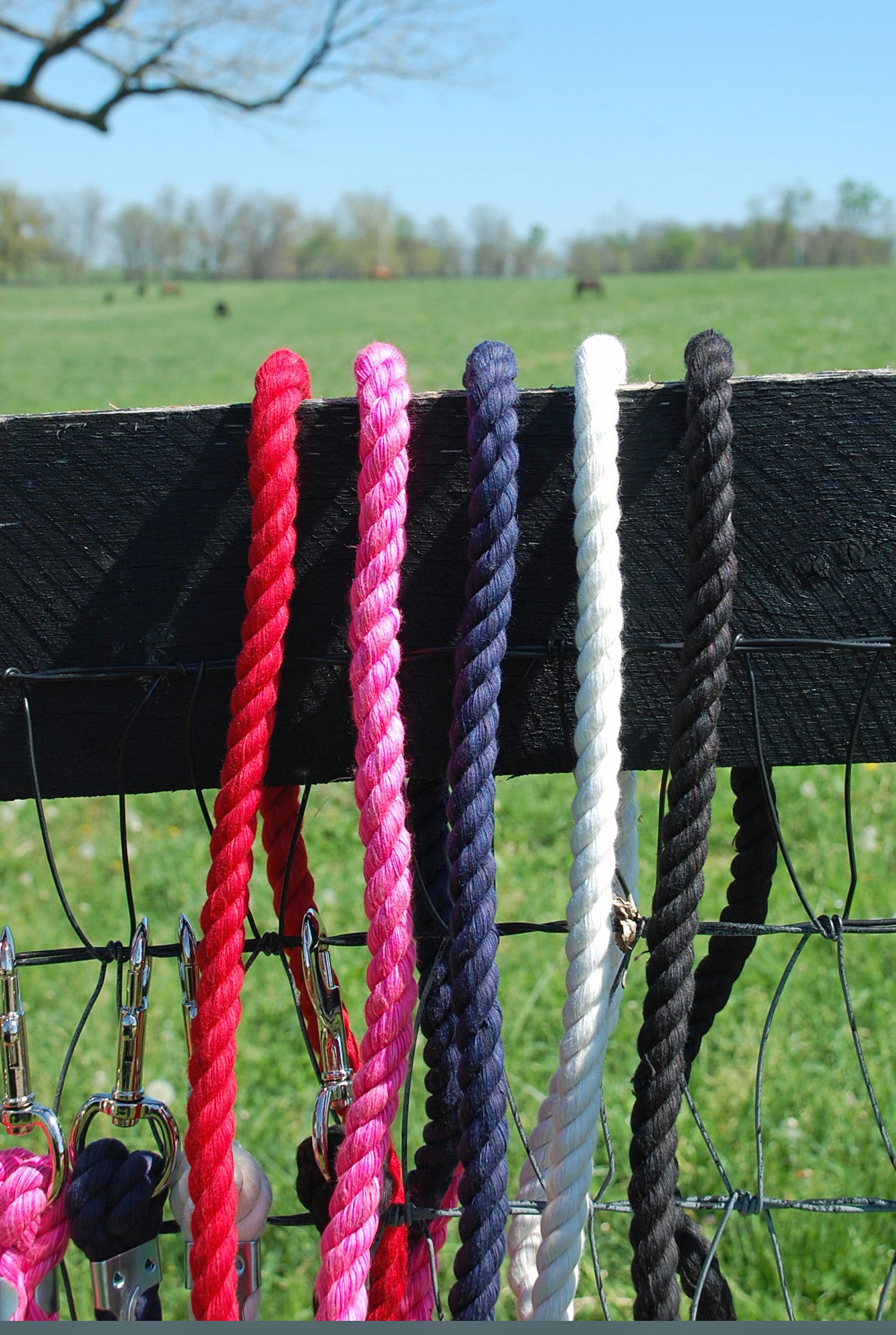 Lead Scrap Ropes Cotton Lead Ropes by Equine Textiles